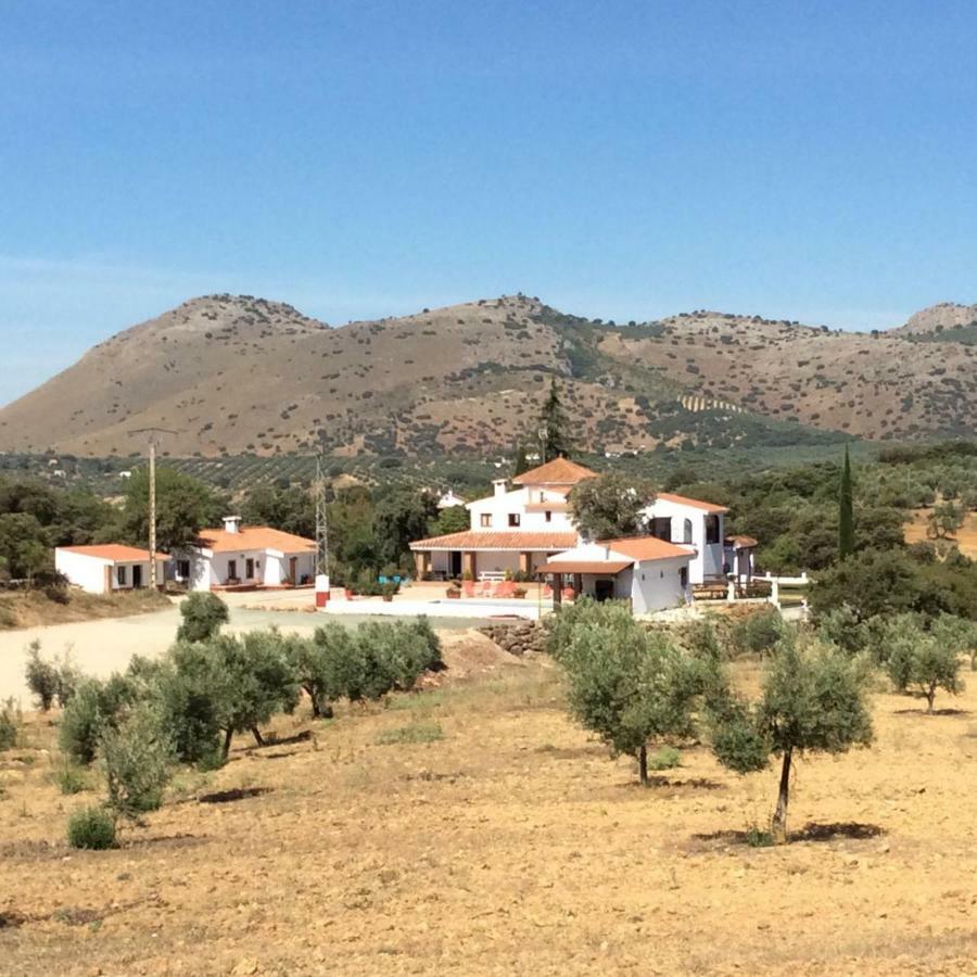 Santa Marta Complejo Rural Con Pista De Padel Guest House Archidona Eksteriør bilde