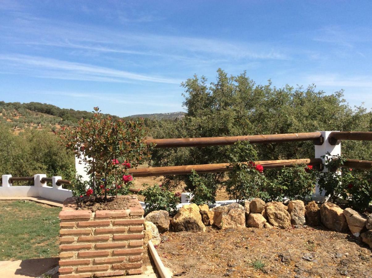 Santa Marta Complejo Rural Con Pista De Padel Guest House Archidona Eksteriør bilde