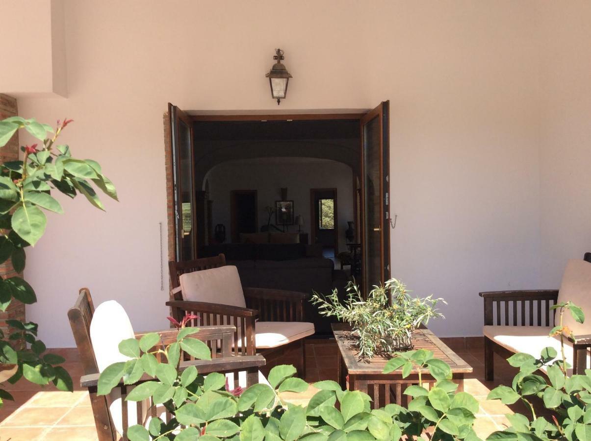 Santa Marta Complejo Rural Con Pista De Padel Guest House Archidona Eksteriør bilde